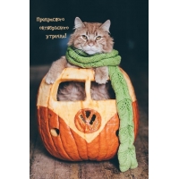 ����������� ������������ �������!