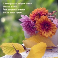 � ����������� ������ �����! ���� ��������� �������