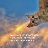 ��������� ���������� ����! ����������� ����������! 