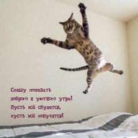      !   