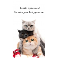 �����, ��������! �� ��� ��� �� �������