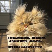 ����� ������� - �������, � ��������� - ������...