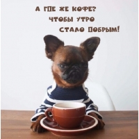 � ��� �� ����? ����� ���� ����� ������!