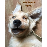 ������� ����!