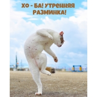 �� - ��! �������� ��������!