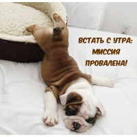 ������ � ����: ������ ���������!