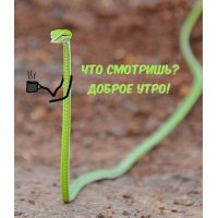 ��� ��������? ������ ����!