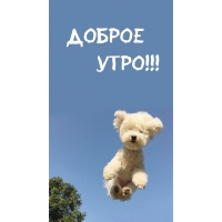 ������ ����!