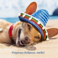 ������� �������, ����!