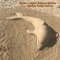 ����� � ����� ������ ������ ������ ������ �����!