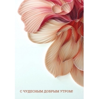 � �������� ������ �����!