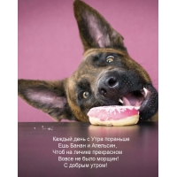 ������ ���� � ���� �������� ��� ����� � ��������