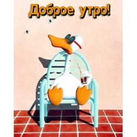 ������ ����!