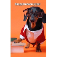 ������������� ����!