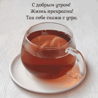 � ������ �����! ����� ���������!  