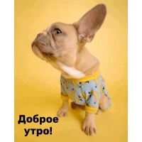 ������ ����!