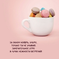 ������������� ���� � ����� �������� ��������!