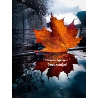 ������ ������� ���� ������!