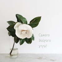 ������ ������� ����!