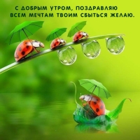 � ������ �����, ���������� ���� ������ ����� ������� �����.