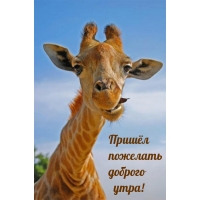 ������ �������� ������� ����!