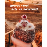 ������ ����! ���� �� ��������!