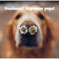 ��������! �������� ����!