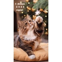 � ����� 2023 �����!