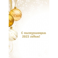 � ����������� 2023 �����!