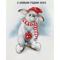 � ����� ����� 2023
