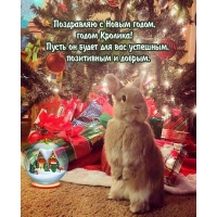 ���������� � ����� �����, ����� �������!