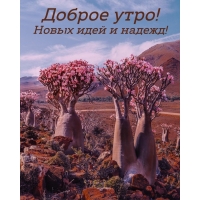 ������ ����! ����� ���� � ������!