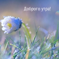 ������� ����!