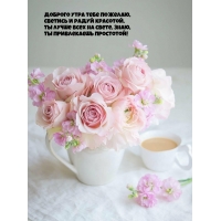 ������� ���� ���� �������, ������� � ����� ��������.