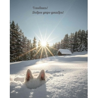 ��������! ������ ���� �������!