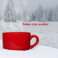 ������ ���� �������!