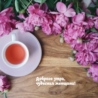 ������� ����, �������� �������!