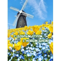 С Добрым утром, с новым днем!