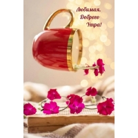 �������, ������� ����!