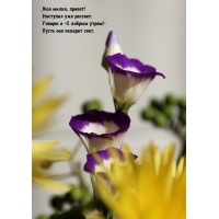 ������ � �� ������ �����!� ����� ��� ������� ����.