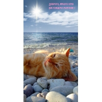 �������, ������ ���� ���������� �������!