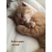 ������ ����, �����!