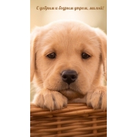 � ������ � ������ �����, �����!