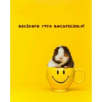 ������� ���� �����������!