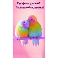 � ������ �����! �������� �����������!
