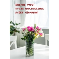 ������ ����! ����� ����������� ����� �������!