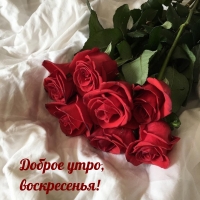 ������ ����, �����������!