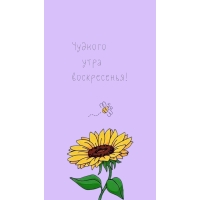 ������� ���� �����������!