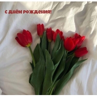 � ���� ��������!