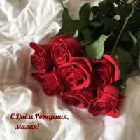 � ���� ��������, �����!